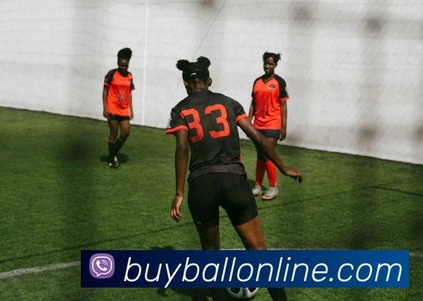 多媒体互动体验