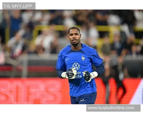 德尚宣布米兰门将迈尼昂将担任法国对冰岛比赛的队长职务